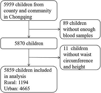 The relationship of remnant cholesterol and abdominal obesity in children: A cross-sectional study